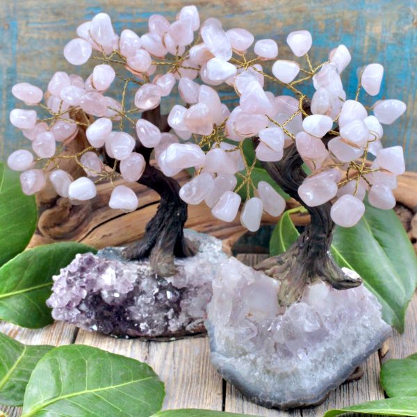 Rose Quartz Crystal Tree on Amethyst Cluster Base Online Hot Sale